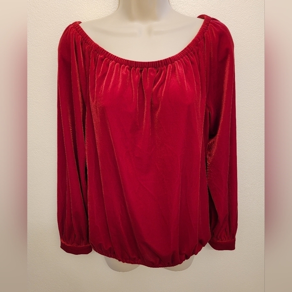 CeCe Tops - NWOT Cece Ladies Velour Blouse